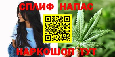 гашик Кинель