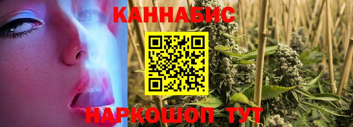 Каннабис планчик Кстово